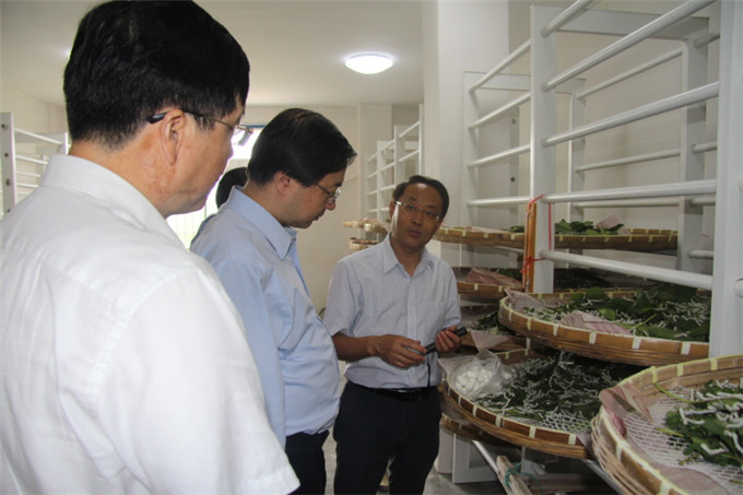 周勇到蘇豪蠶種公司等企業開展“三嚴三實”專題調研