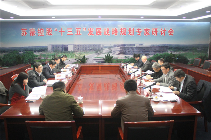 集團召開“十三五”戰略規劃專家研討會