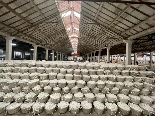 1718075075258527.jpg 2.jpg