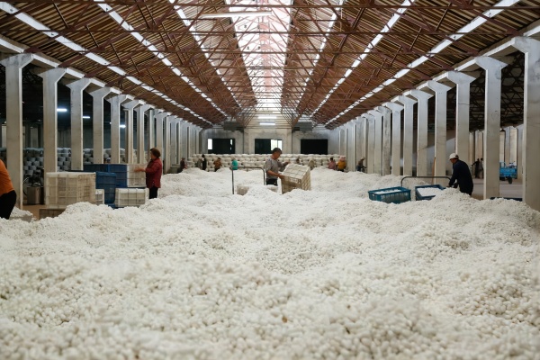 1718075082322147.jpg 3.jpg