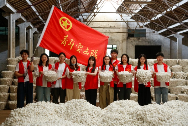 1720058643773114.jpg 3_副本.jpg